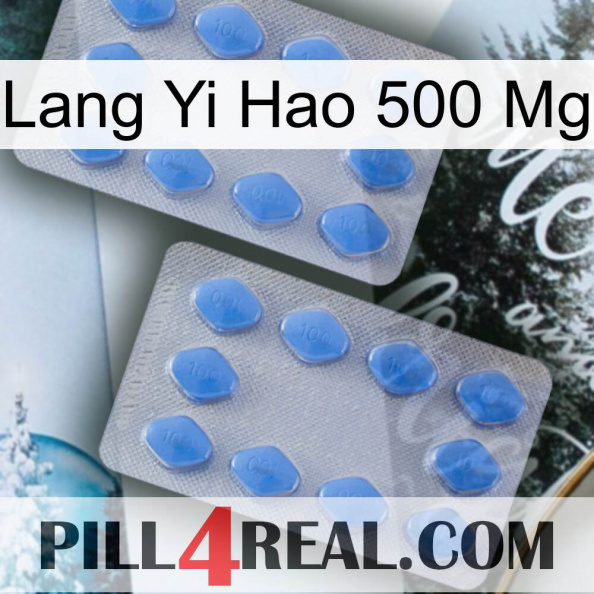 Lang Yi Hao 500 Mg 20.jpg